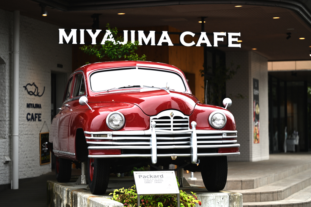 MIYAJIMA CAFE