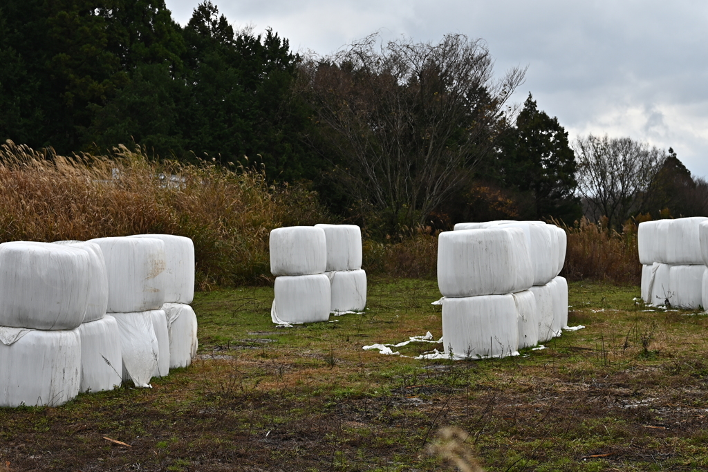 牧草ロール