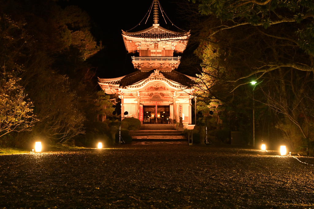 如意寺ライトアップ　本堂
