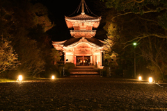 如意寺ライトアップ　本堂