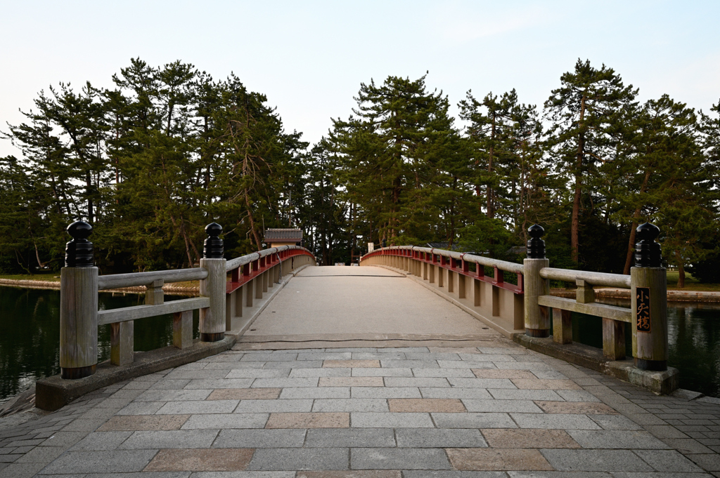 天橋立廻旋橋