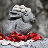 白兎神社　参道のウサギ