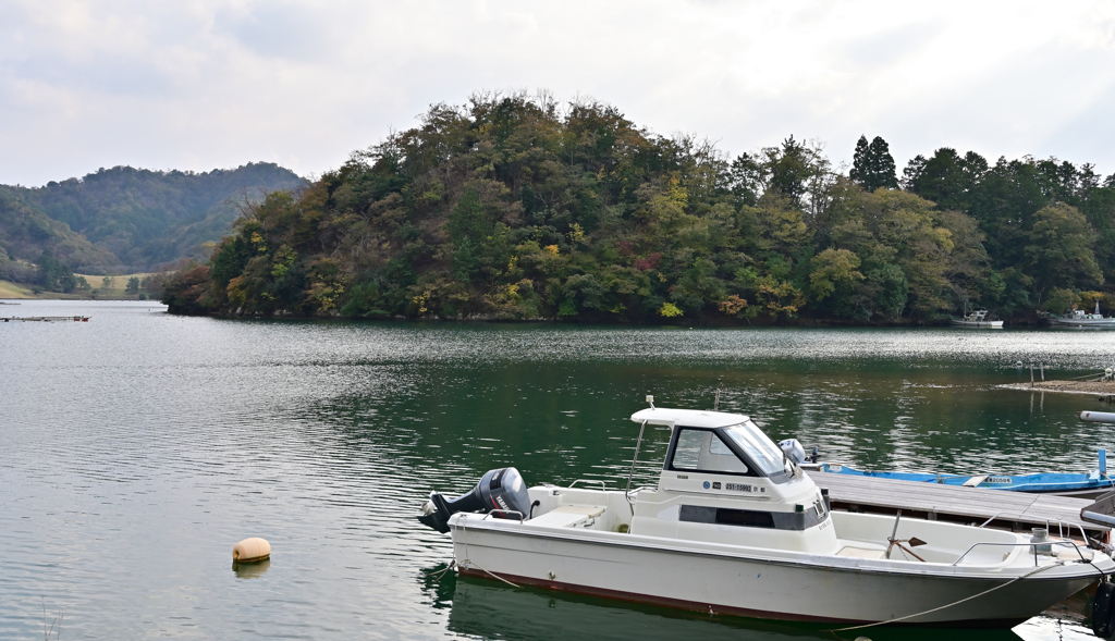久美浜湾の紅葉①