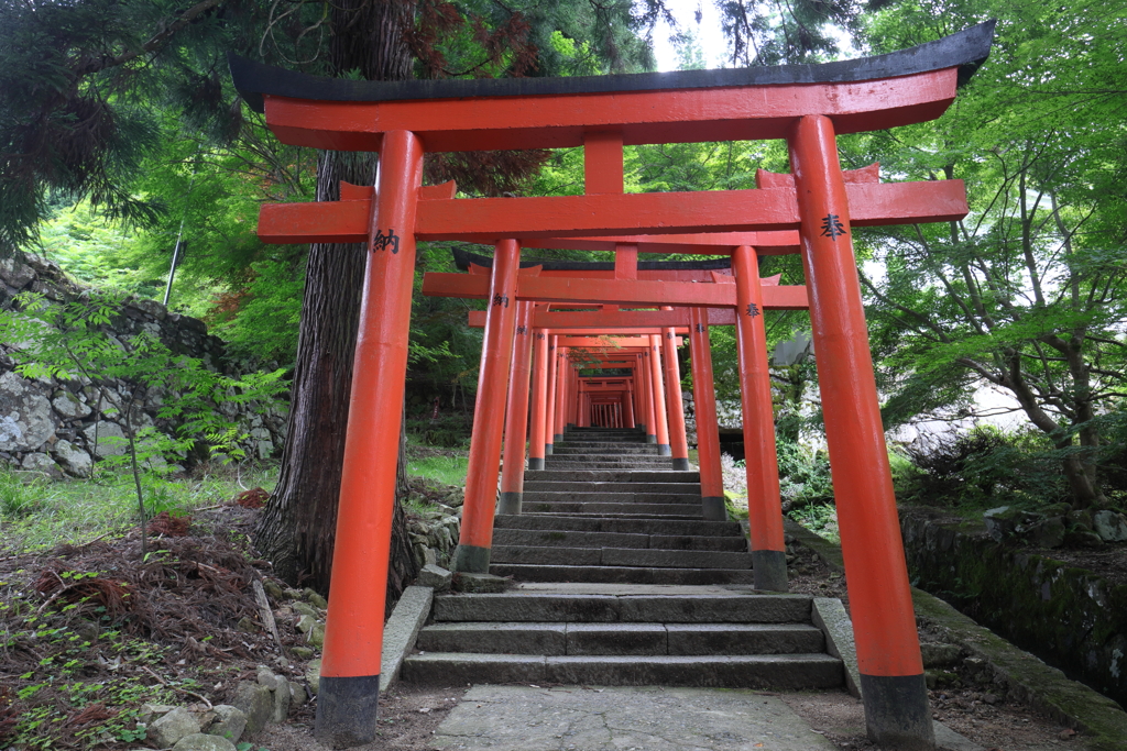 出石を散歩してきました。「稲荷神社の鳥居」