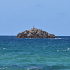 沖の島