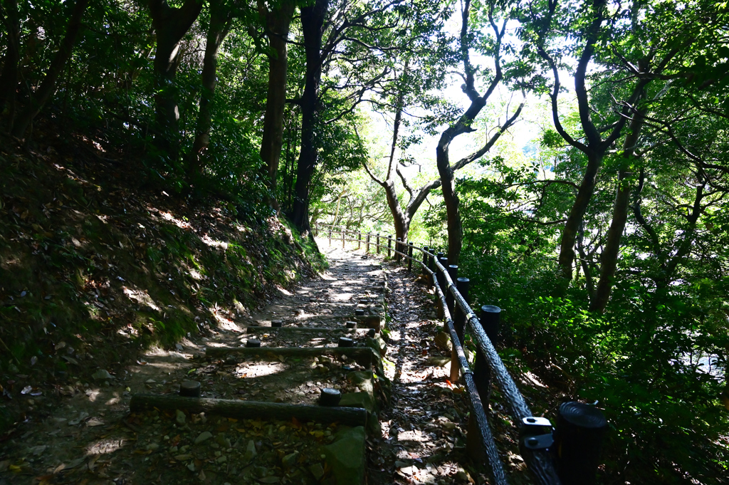 近畿の最北端　経ケ岬③　遊歩道