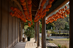 田舎の風物詩