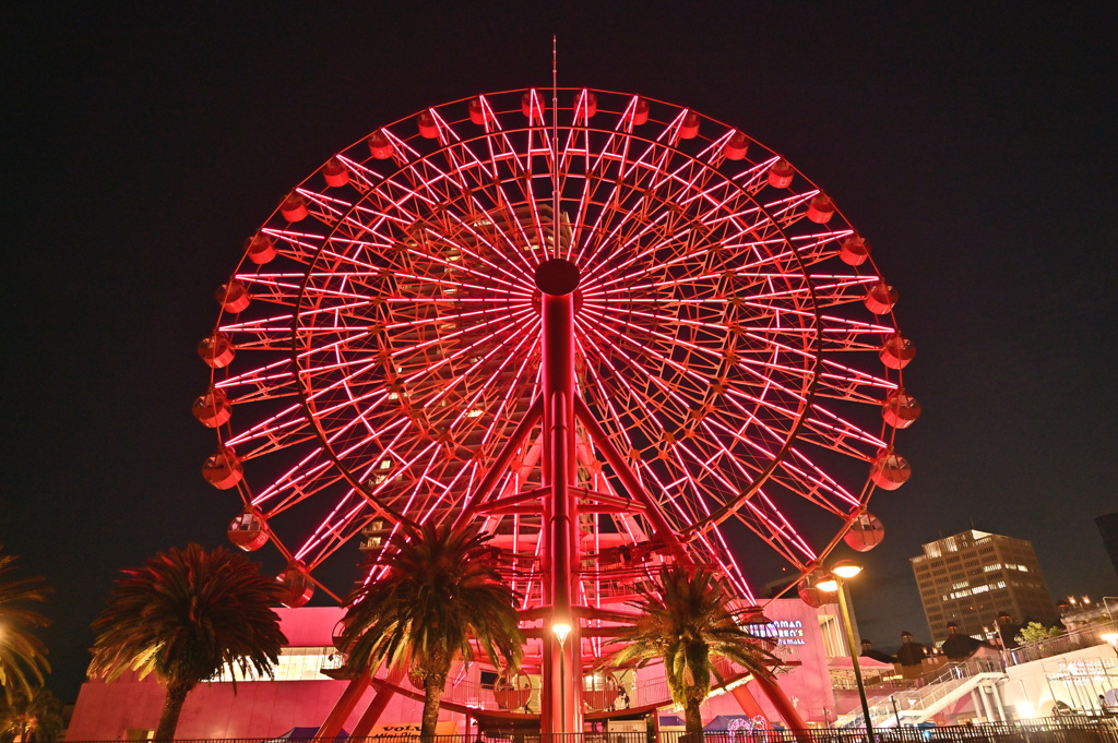 ベイエリア夜景　観覧車