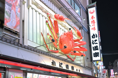 ミナミの顔