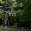 しめ縄　新調