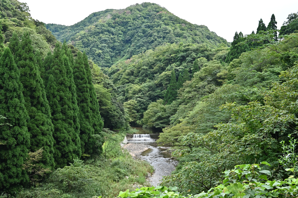 渓谷の流れ　②