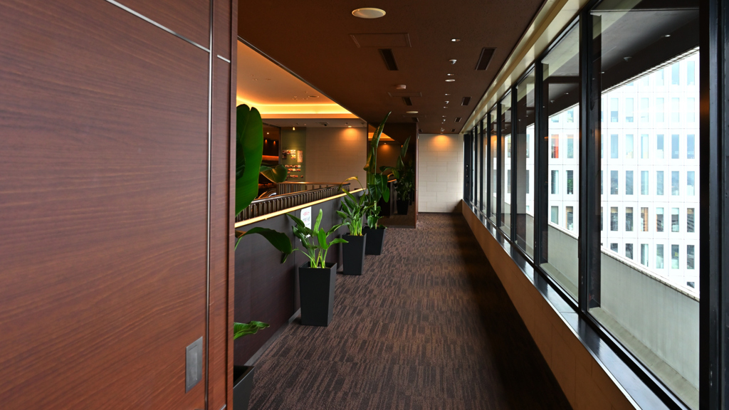 高層階の展望スペース