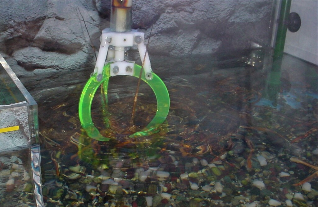 今は無き幻の名機　「伊勢海老キャッチャー」捕獲寸前編