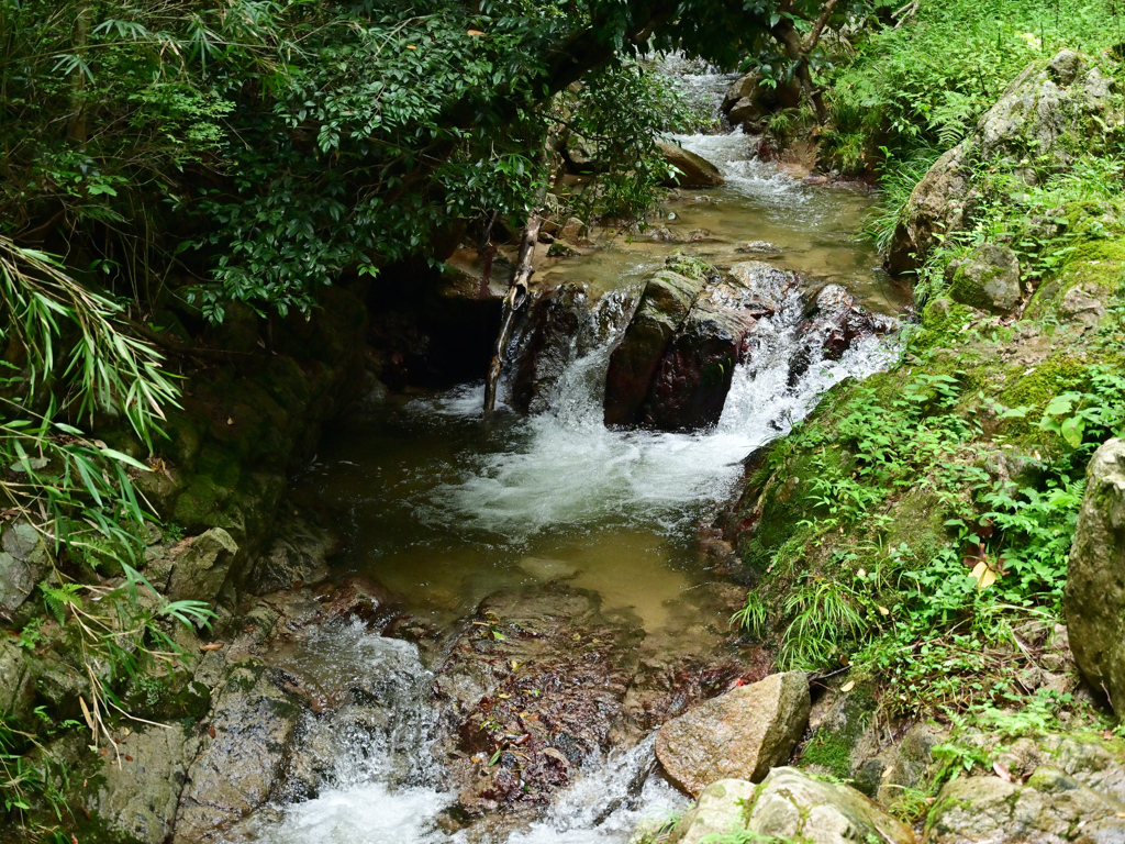 近くに、山水が流れる場所②