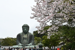 大仏様