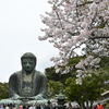 大仏様