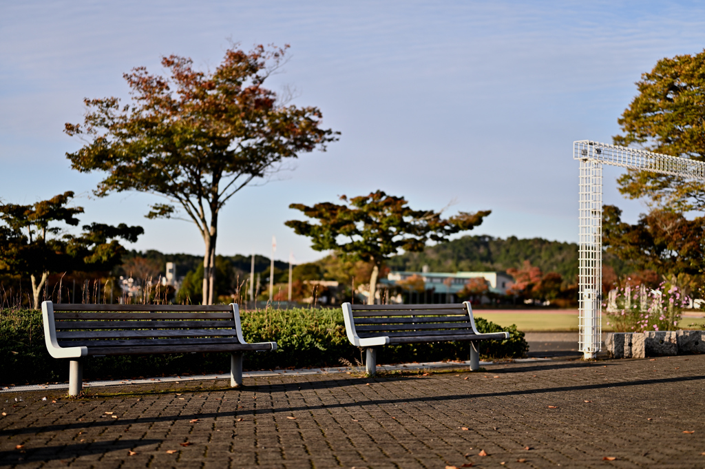 公園のベンチ