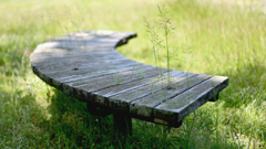 チェアーの隙間から