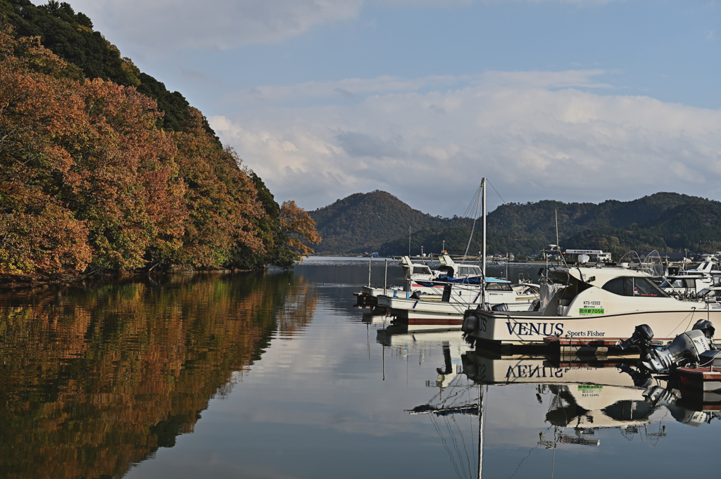 マリーナの紅葉