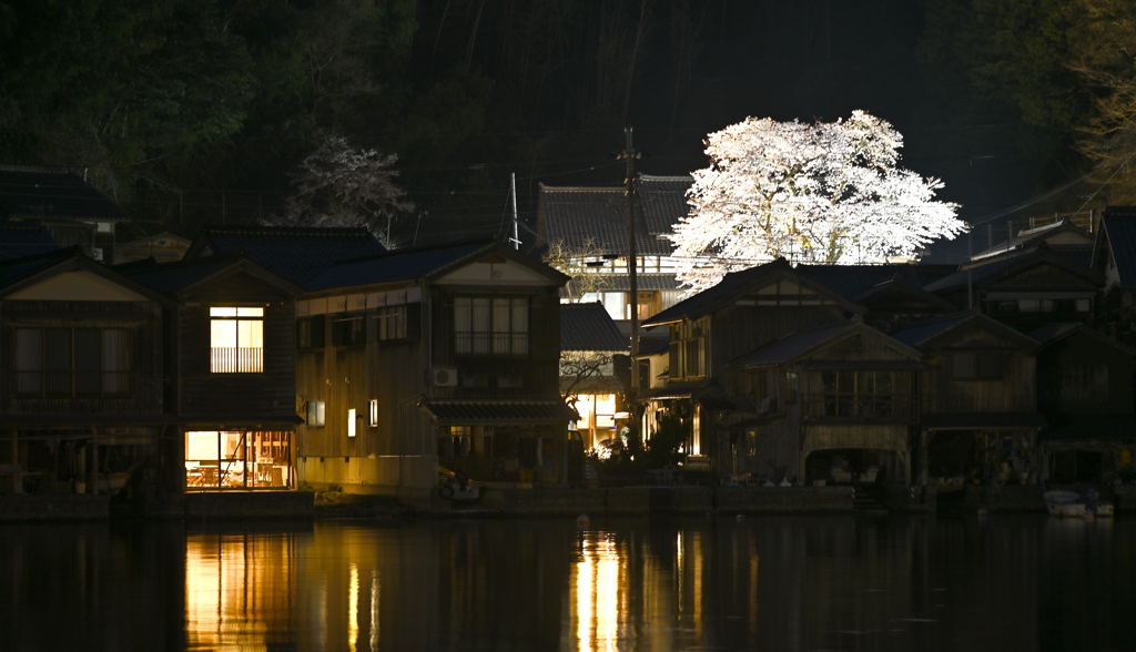伊根夜景
