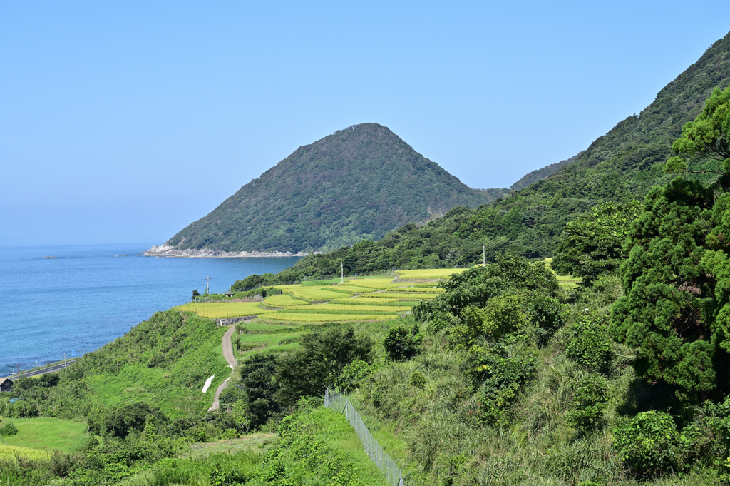 棚田と経ケ岬