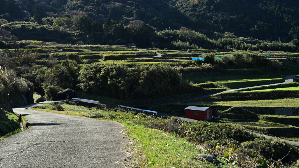 棚田へ続く道