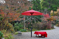 如意寺の紅葉①