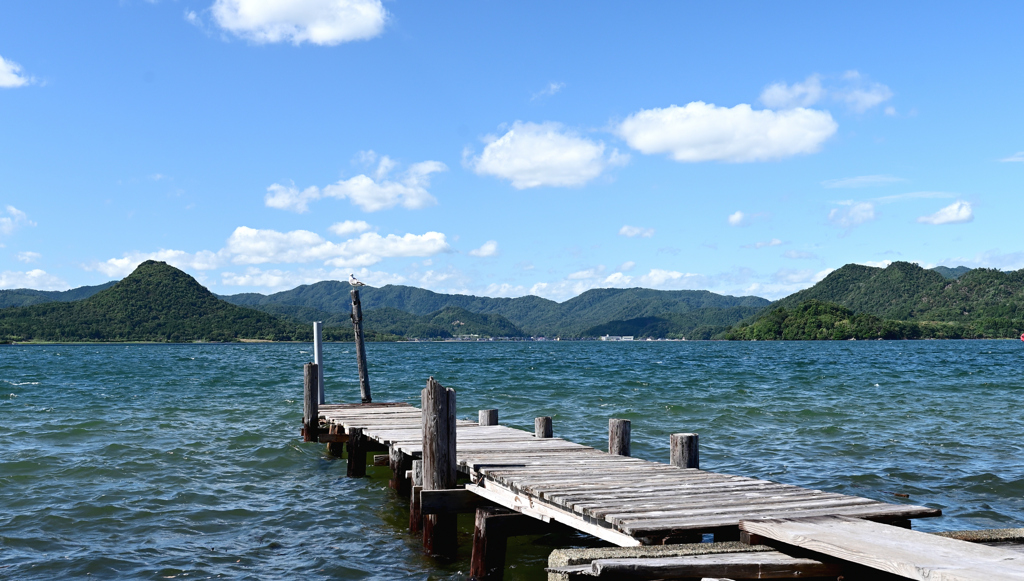 久美浜湾の桟橋