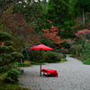 如意寺の紅葉