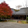 コテージの紅葉①