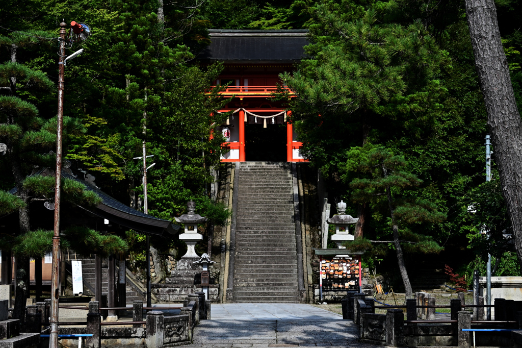 金刀比羅神社　参道