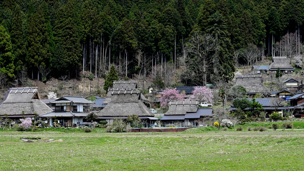 美山 かやぶきの里