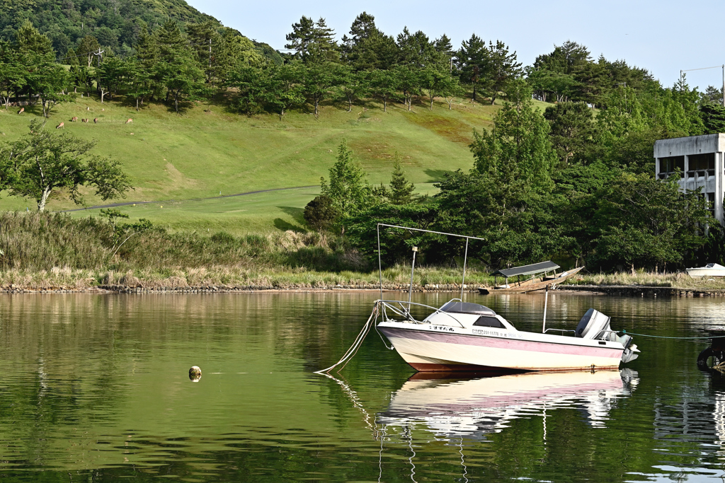 海のそばにあるゴルフ場