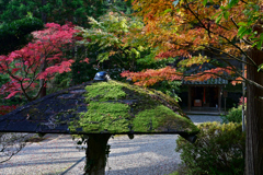 如意寺の紅葉②