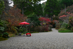 如意寺の紅葉④