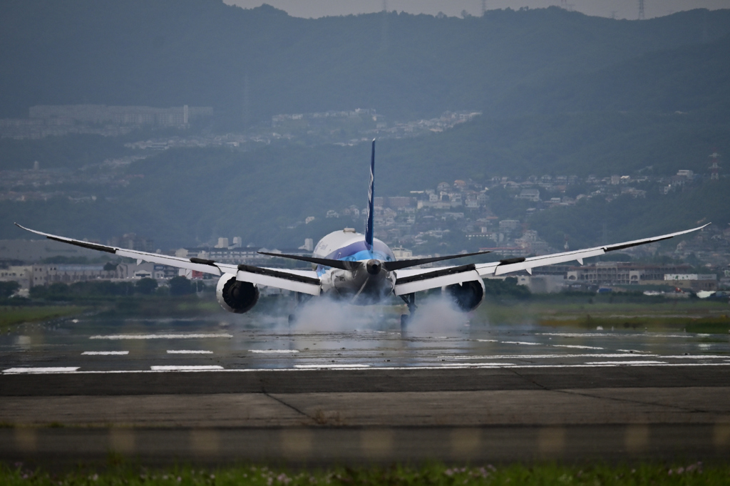 伊丹空港　ANA機着陸