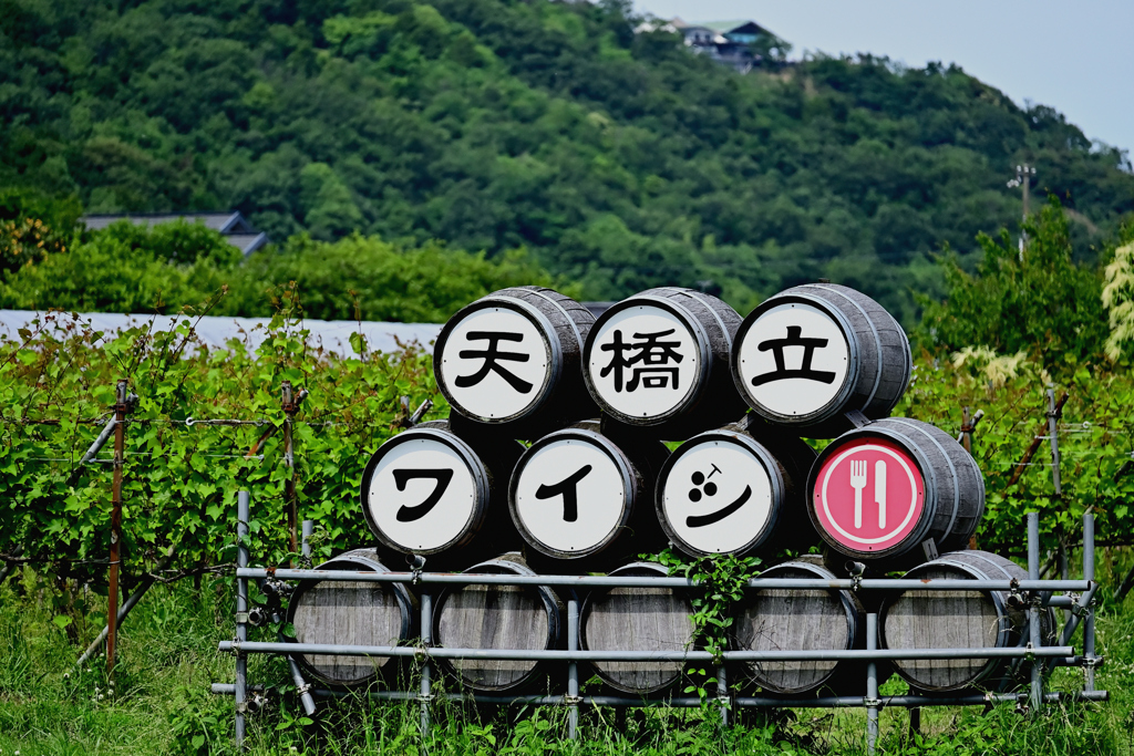 天橋立ワイン