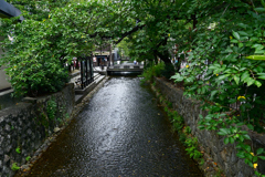 京都「先斗町」の小川