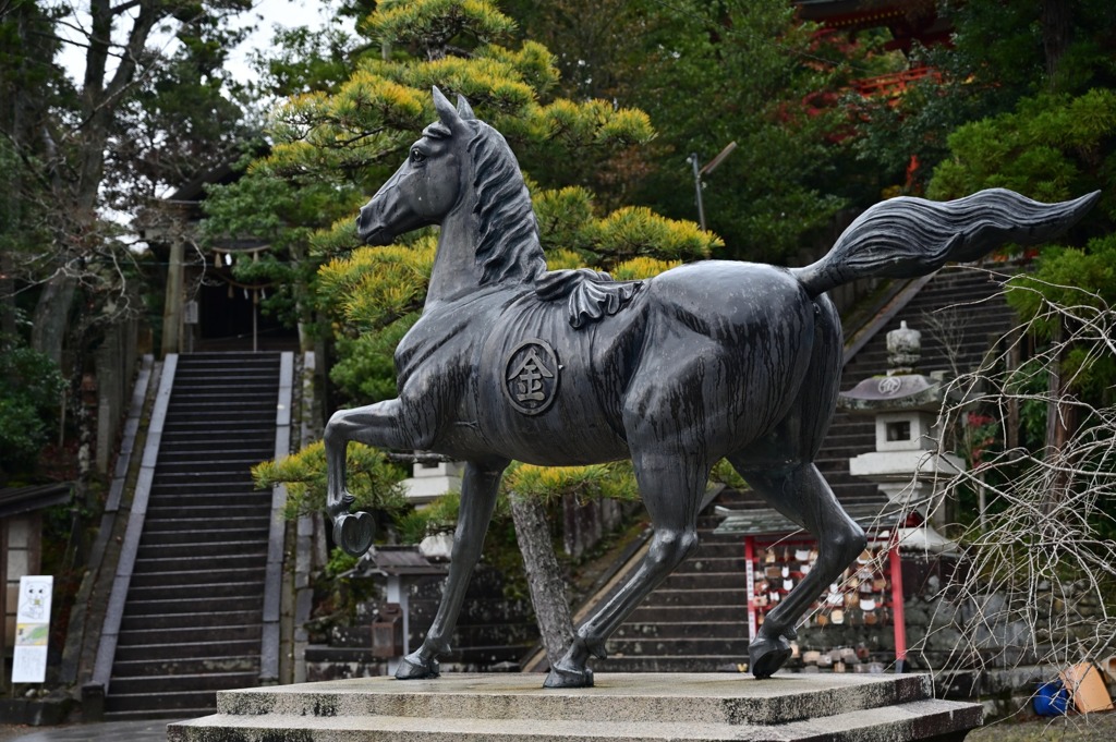 雨の金刀比羅神社　神馬