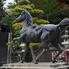 雨の金刀比羅神社　神馬