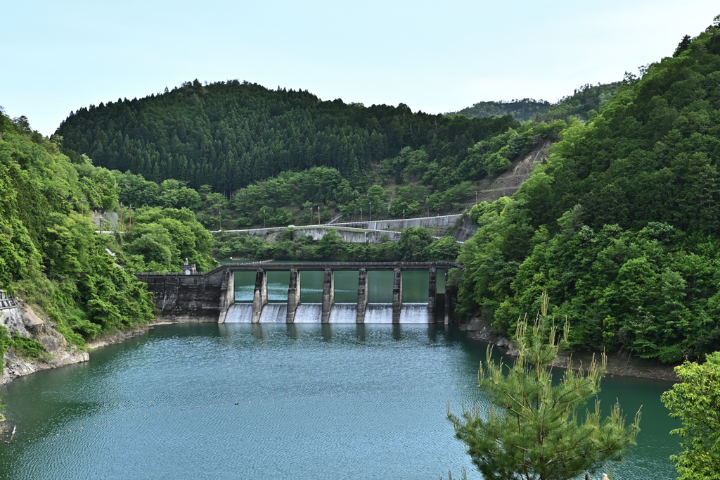 世木ダム　下流側