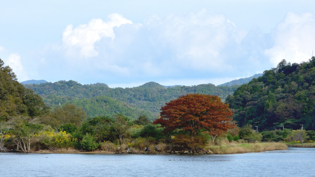 河口の湿原