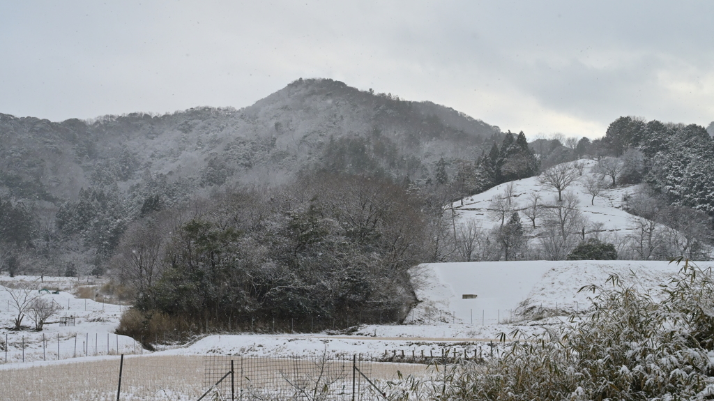 雪景②