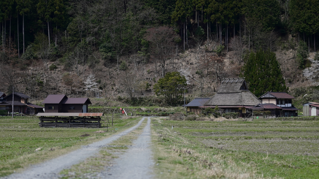 美山 かやぶきの里　農道から