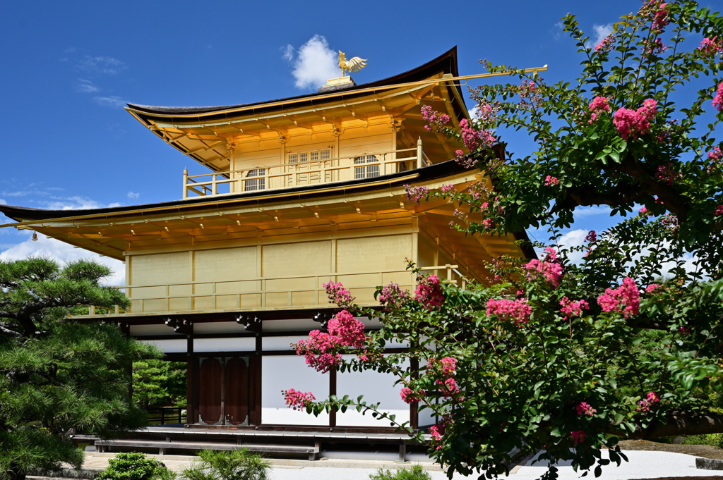 金色に輝く金閣寺②