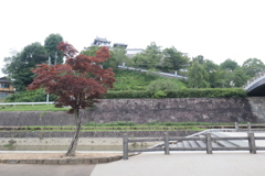 福知山城　散策してきました。下からの眺め