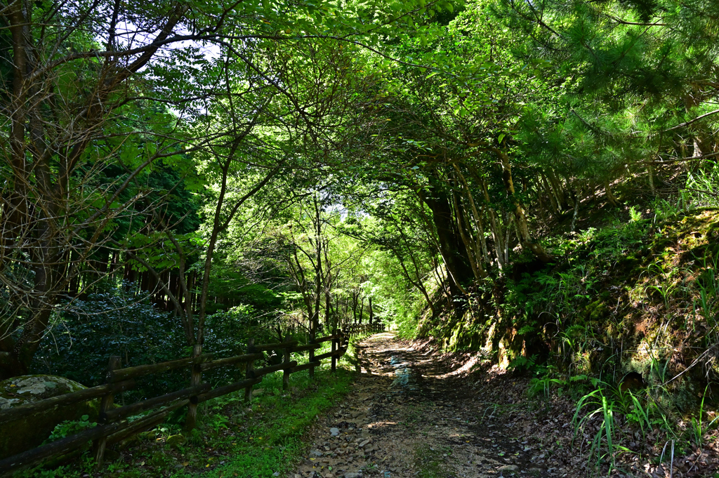 林道の入口