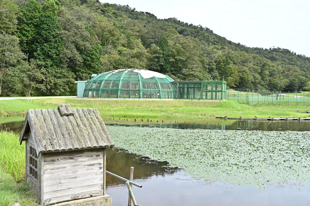 コウノトリの郷公園　ドーム型ケージ