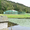 コウノトリの郷公園　ドーム型ケージ