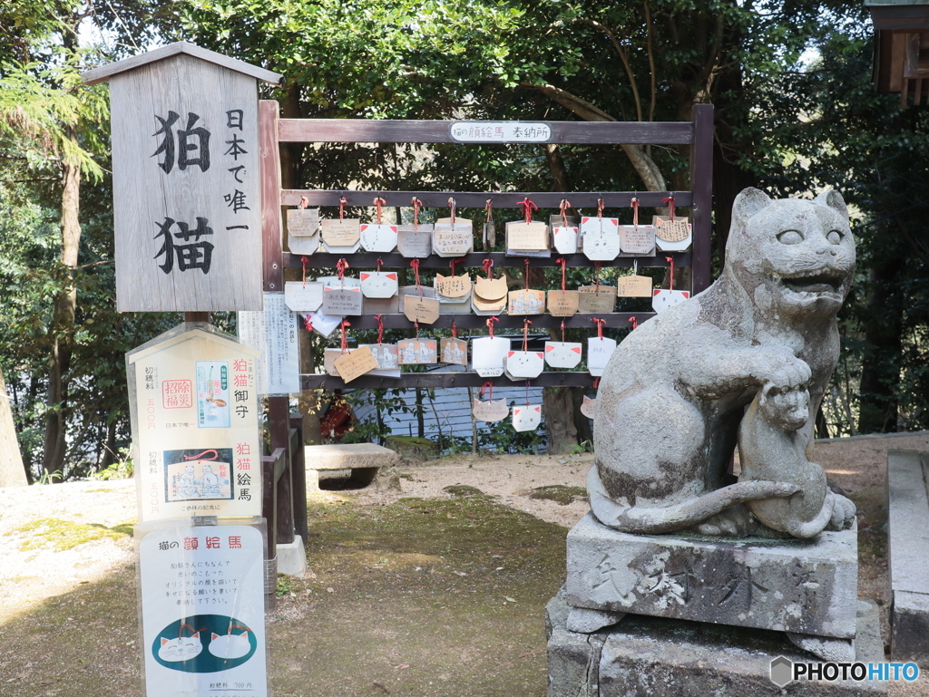 金刀比羅神社